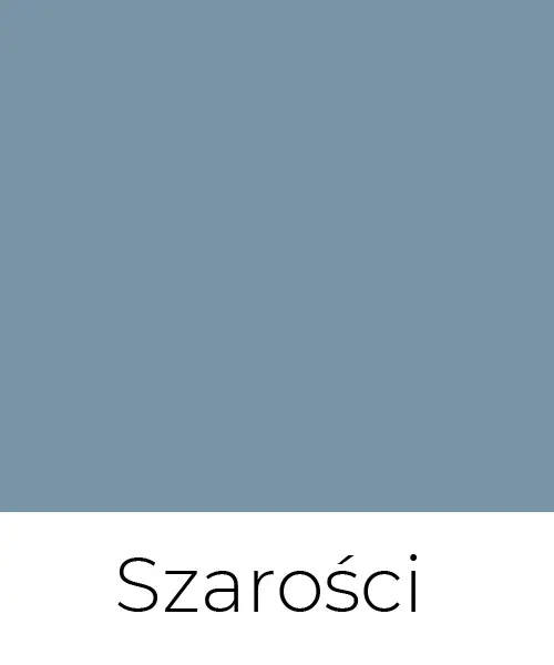 color-main-szarosci